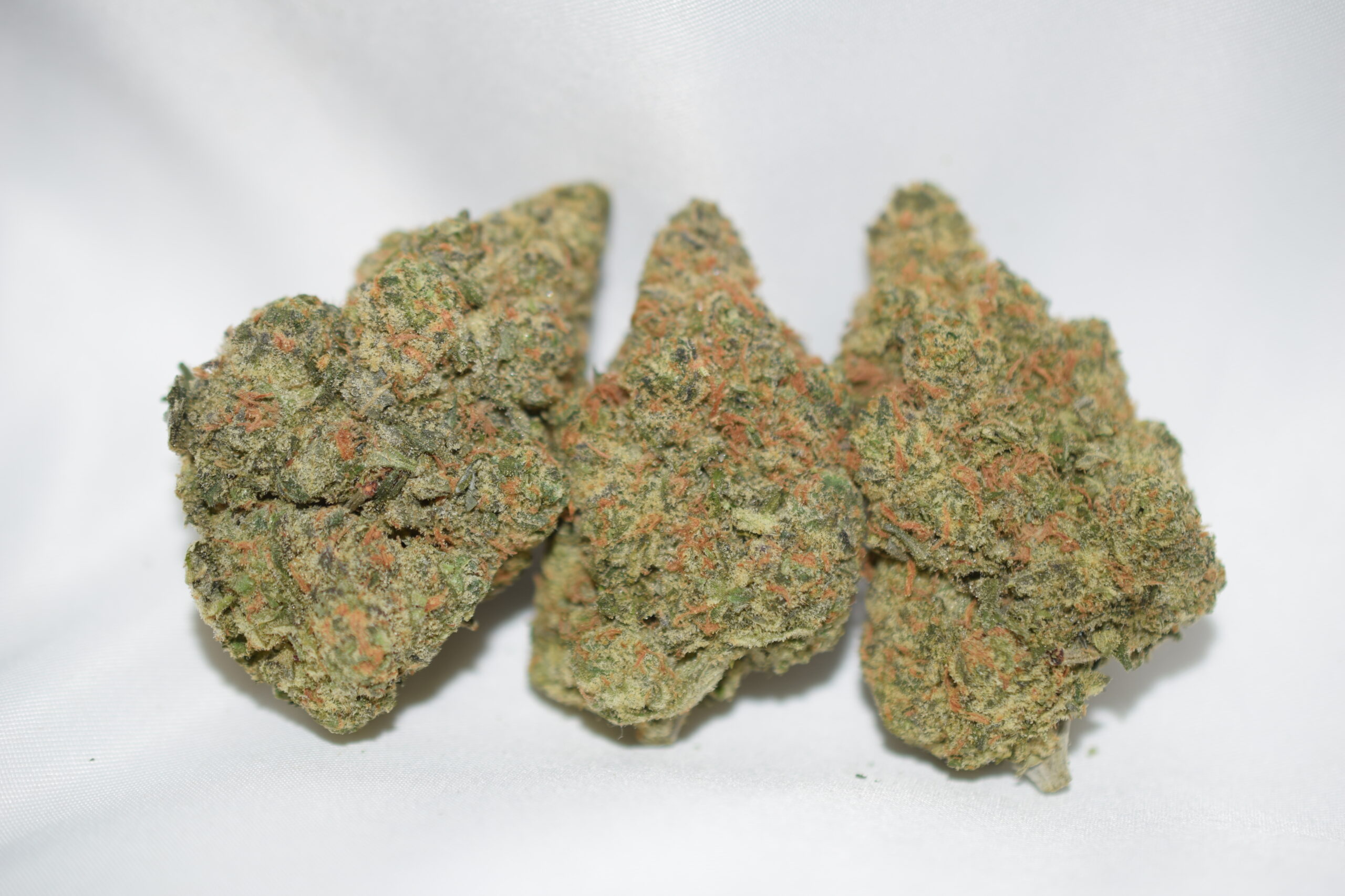 Purple Haze Sativa Dominant Hybrid AAA