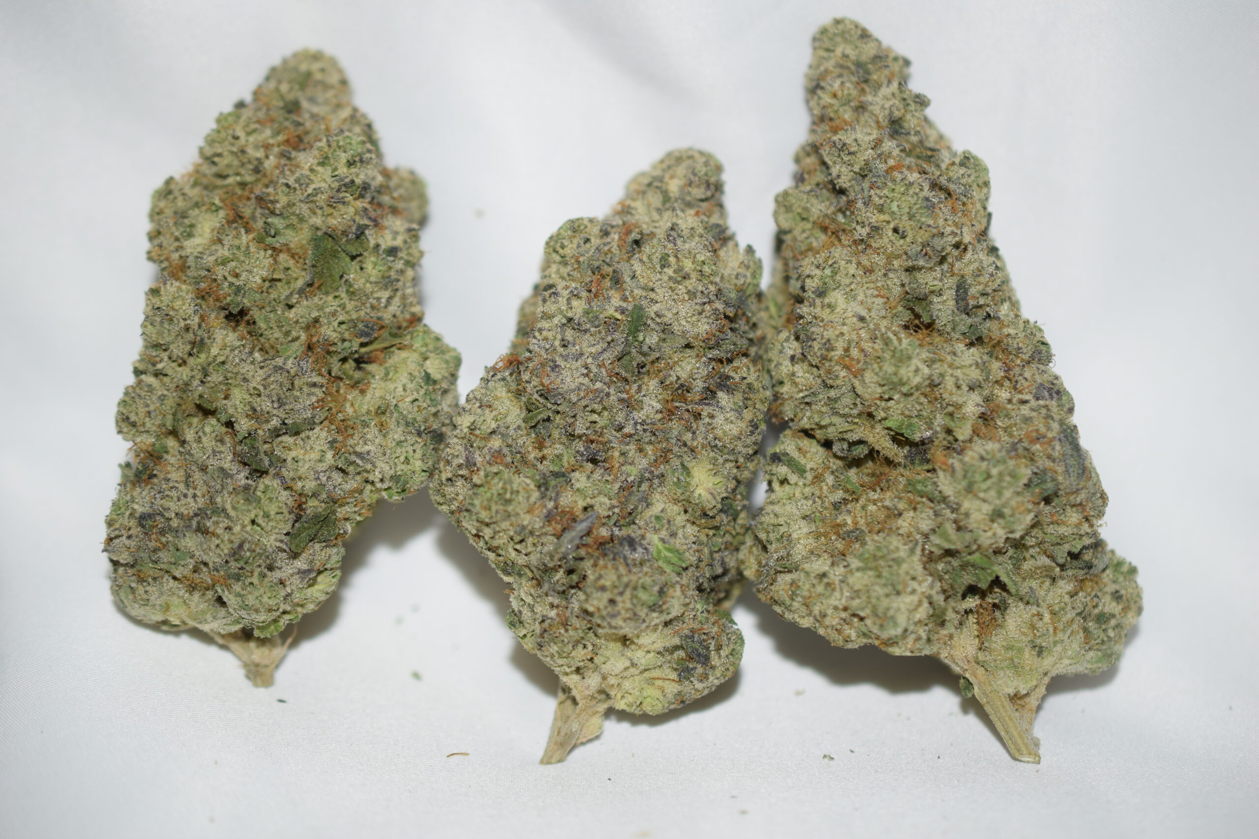 Red Hot Cap Junky Sativa Dominant Hybrid AAAA