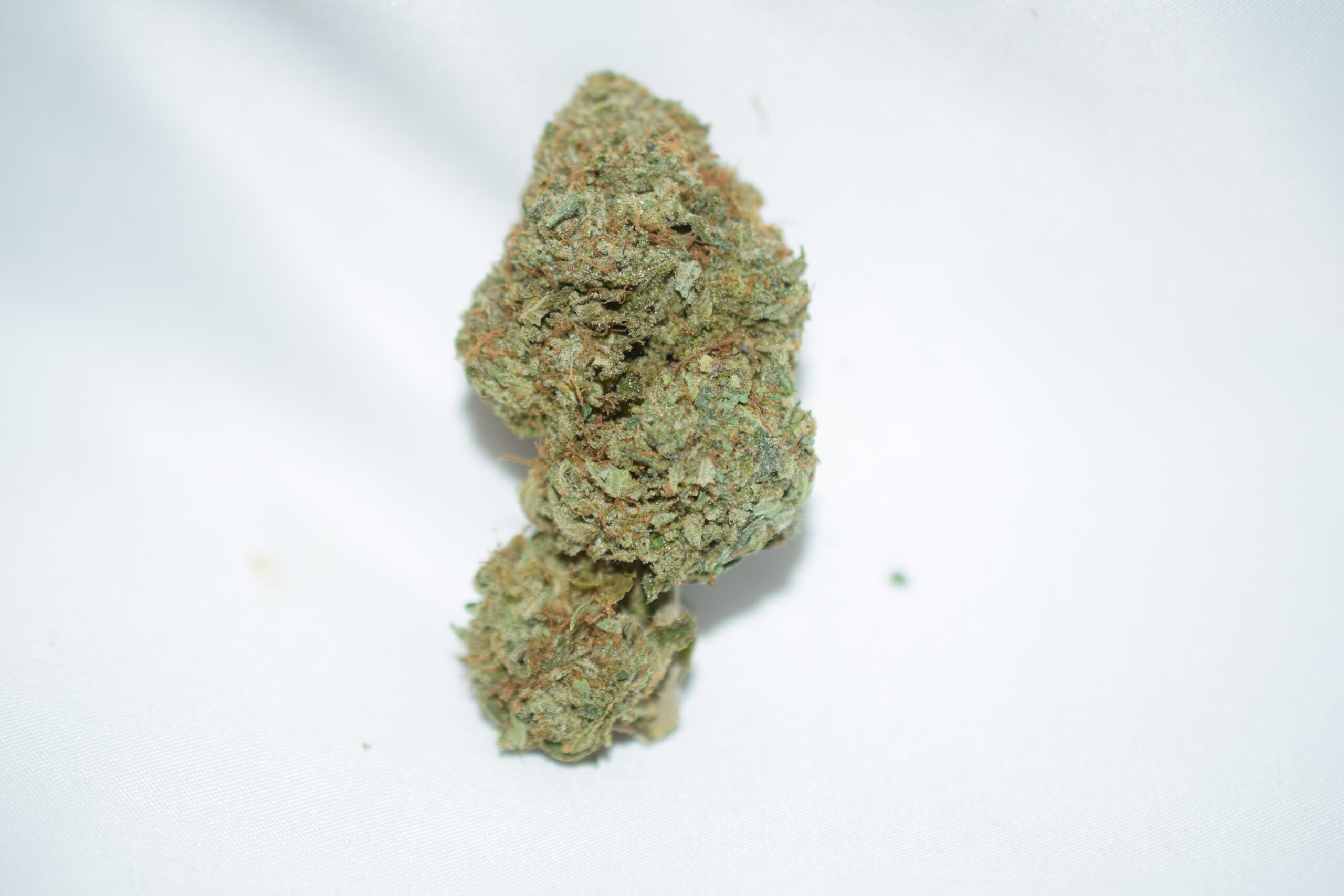 Rockstar Indica Dominant Hybrid AAA