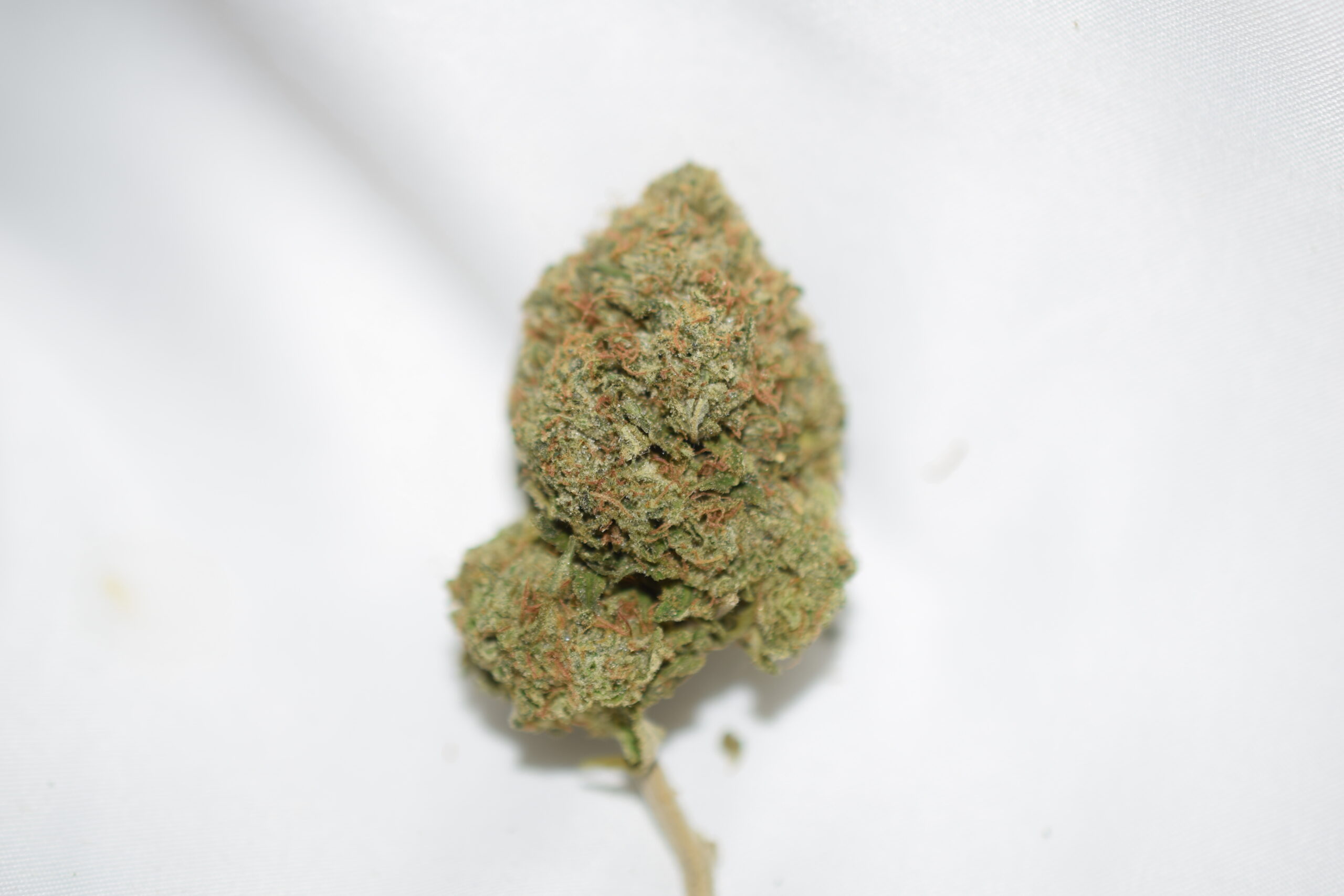 Rockstar Indica Dominant Hybrid AAA
