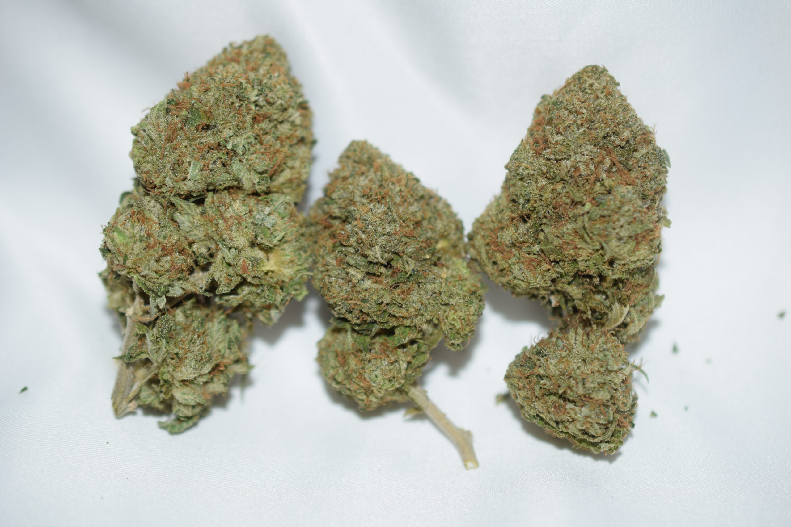 Rockstar Indica Dominant Hybrid AAA
