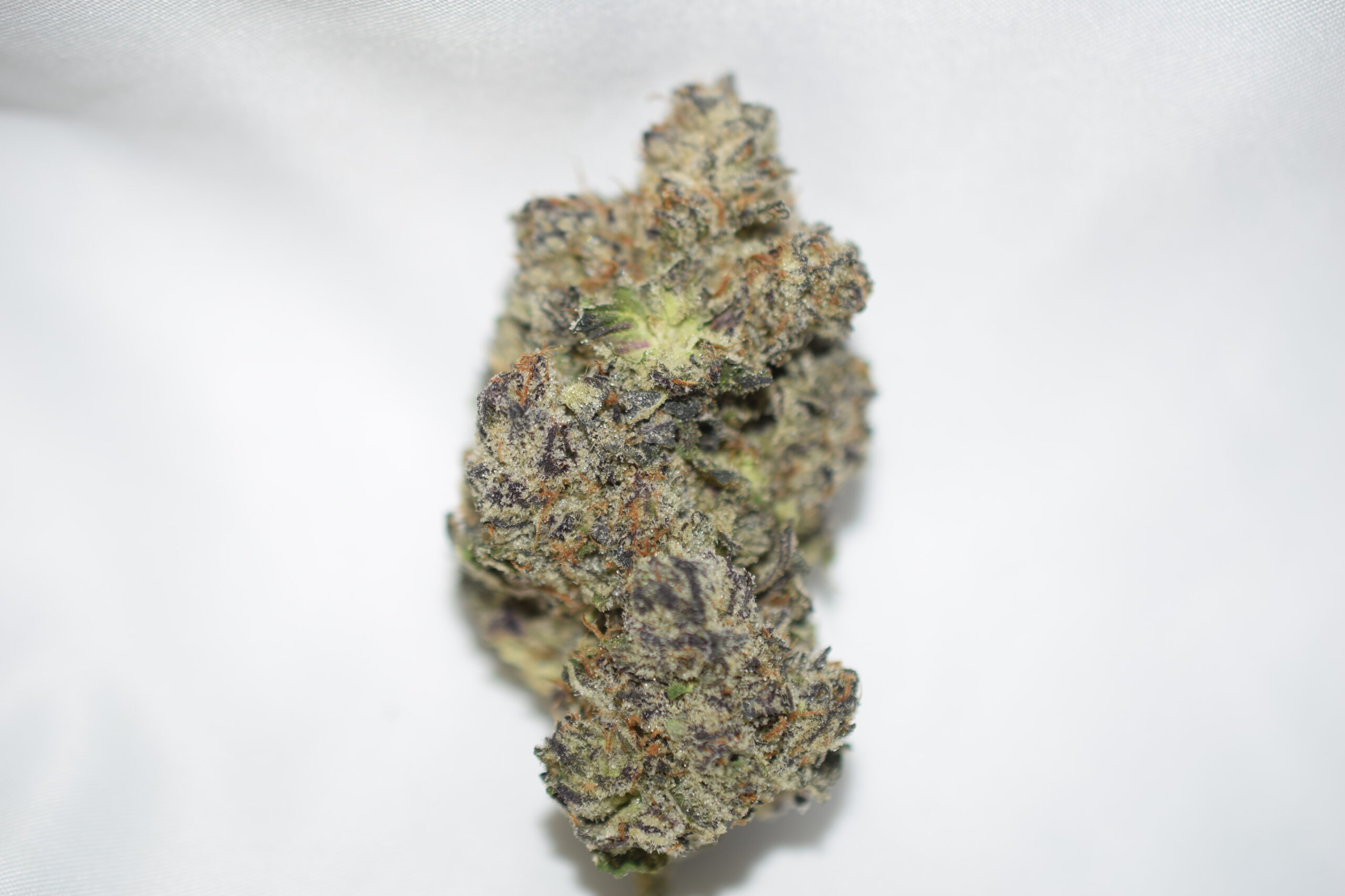 Vanilla Ice Indica Dominant Hybrid AAAA+