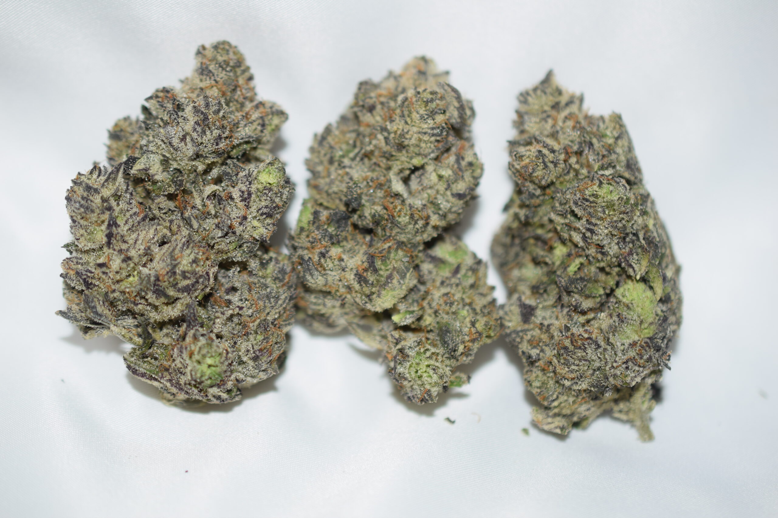 Vanilla Ice Indica Dominant Hybrid AAAA+