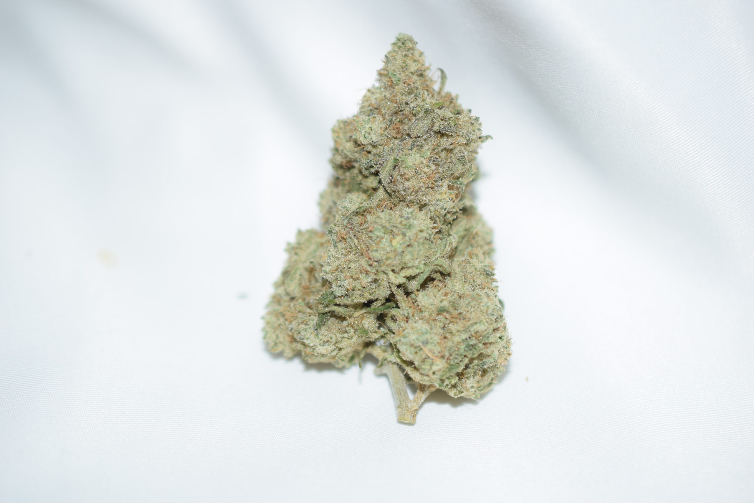 White walker Sativa Dominant Hybrid AAA