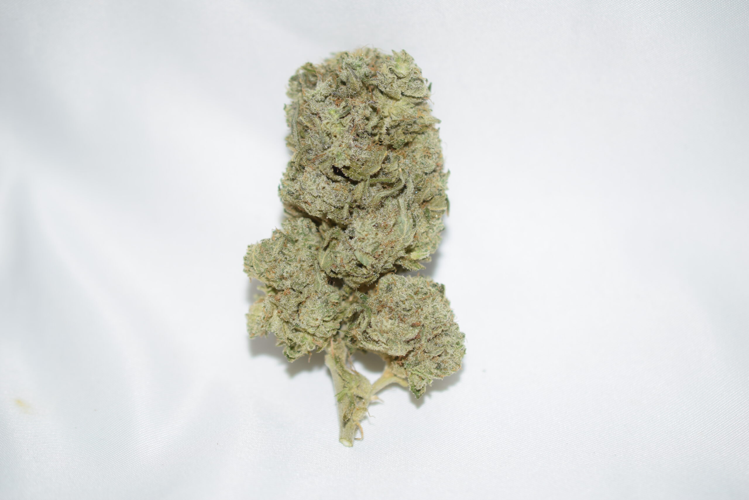 White walker Sativa Dominant Hybrid AAA