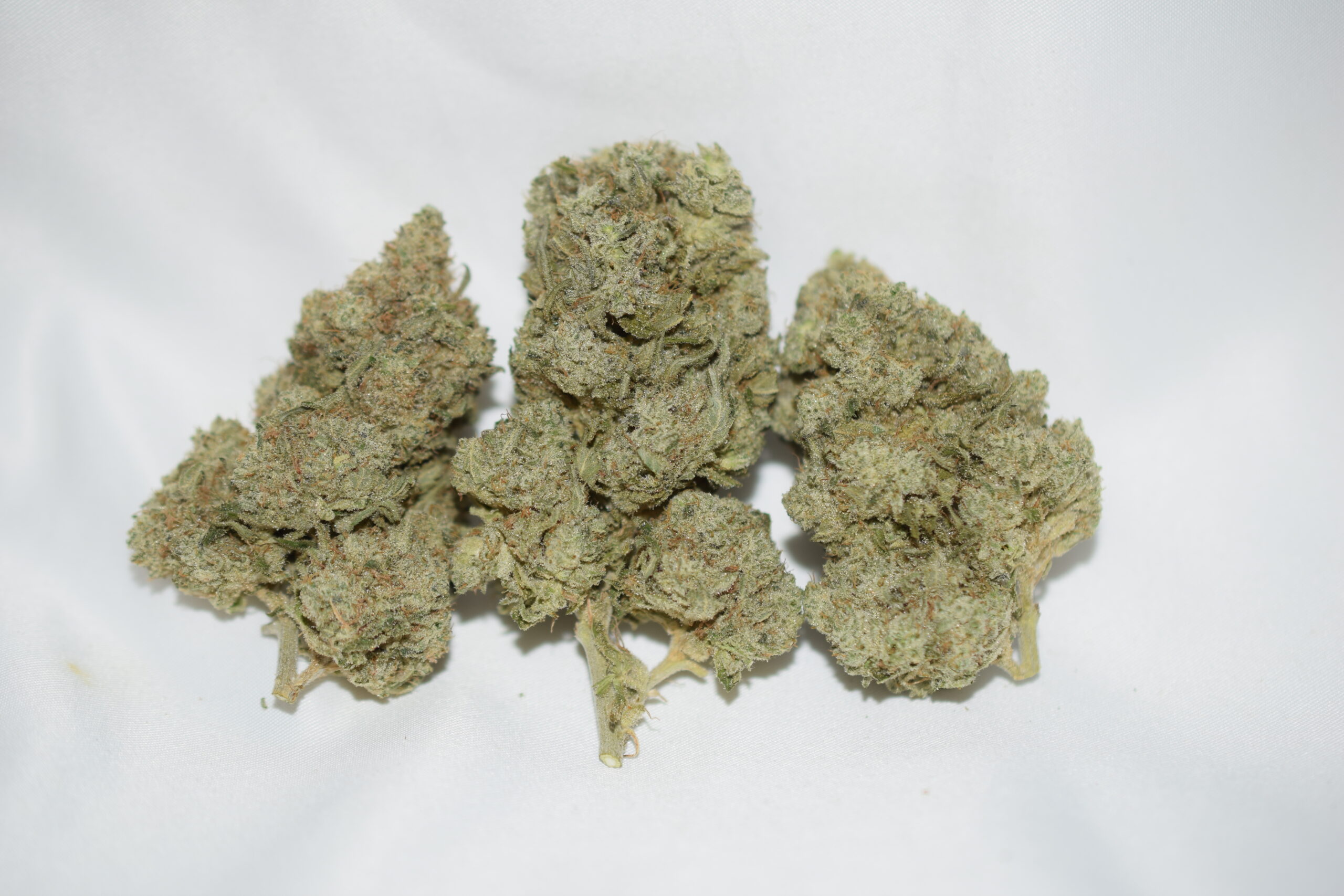 White walker Sativa Dominant Hybrid AAA